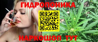 прущие грибы Балаково