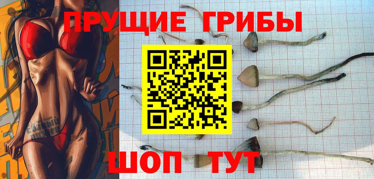 Псилоцибиновые грибы MAGIC MUSHROOMS Гай