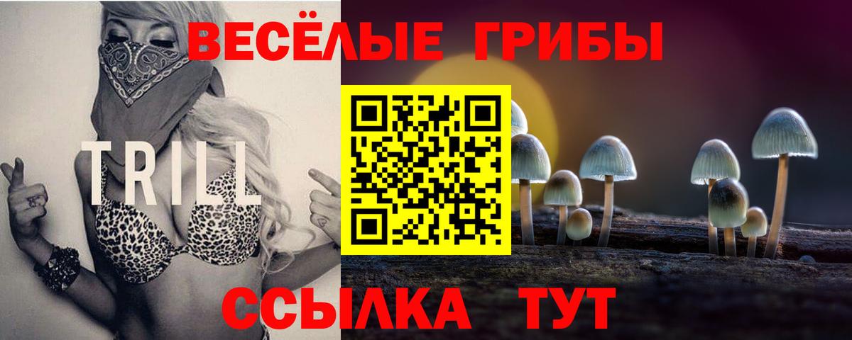 Галлюциногенные грибы прущие грибы  Галлюциногенные грибы GOLDEN TEACHER  Вход с VPN  Гай 